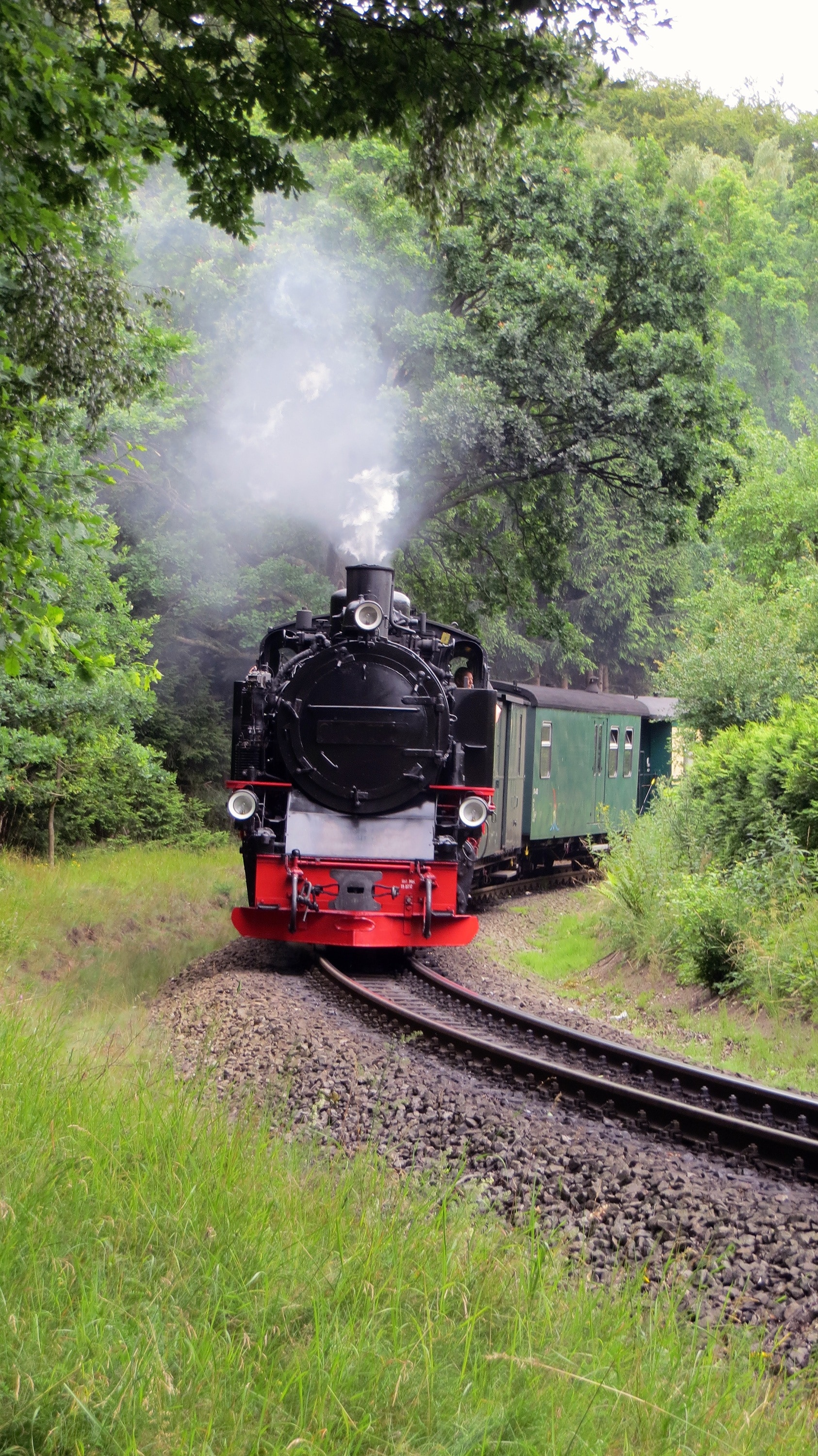 green and red train