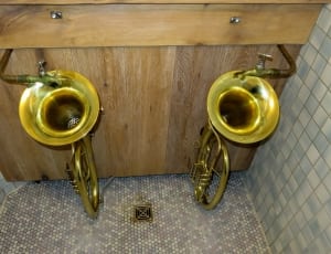2 gold trumpet thumbnail