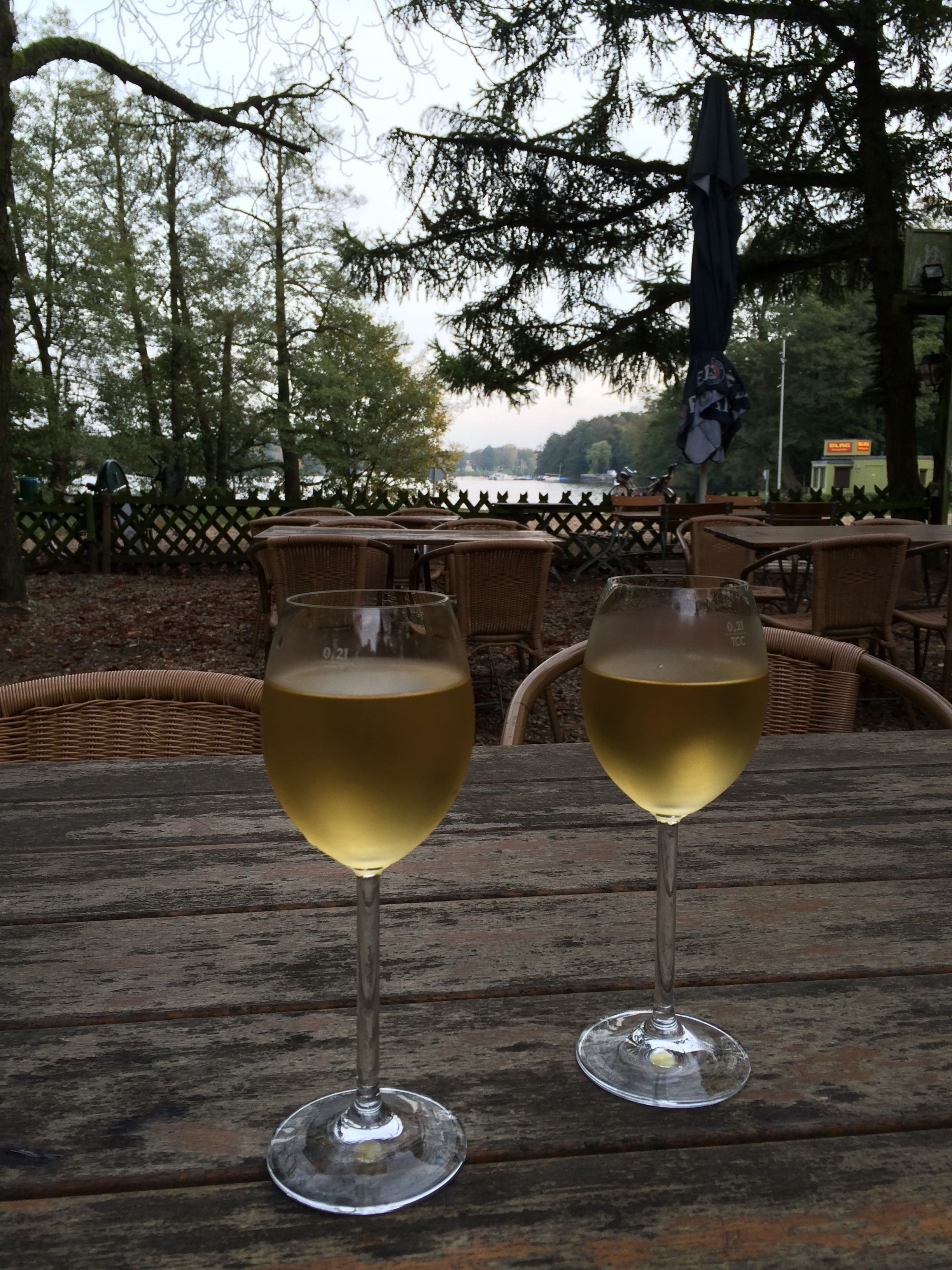 2 white clear wine glass