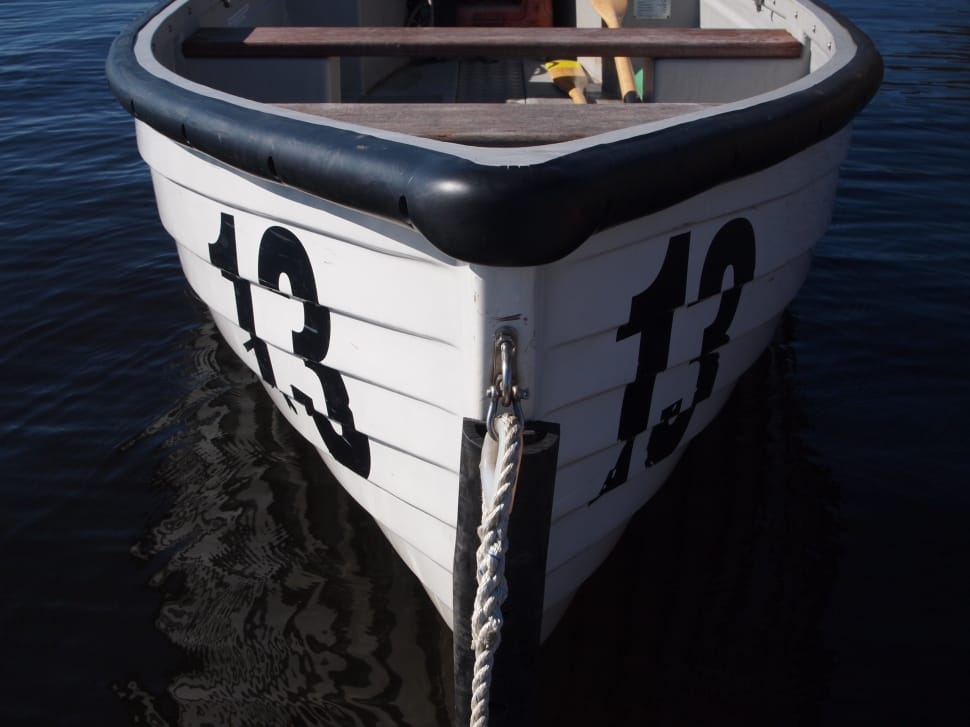 white and black boat preview
