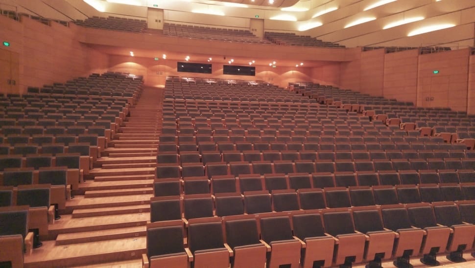 brown and black auditorium preview
