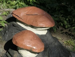 brown mushroom decor thumbnail