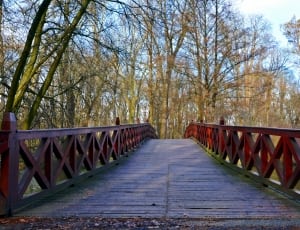 red wooden footed bridge thumbnail