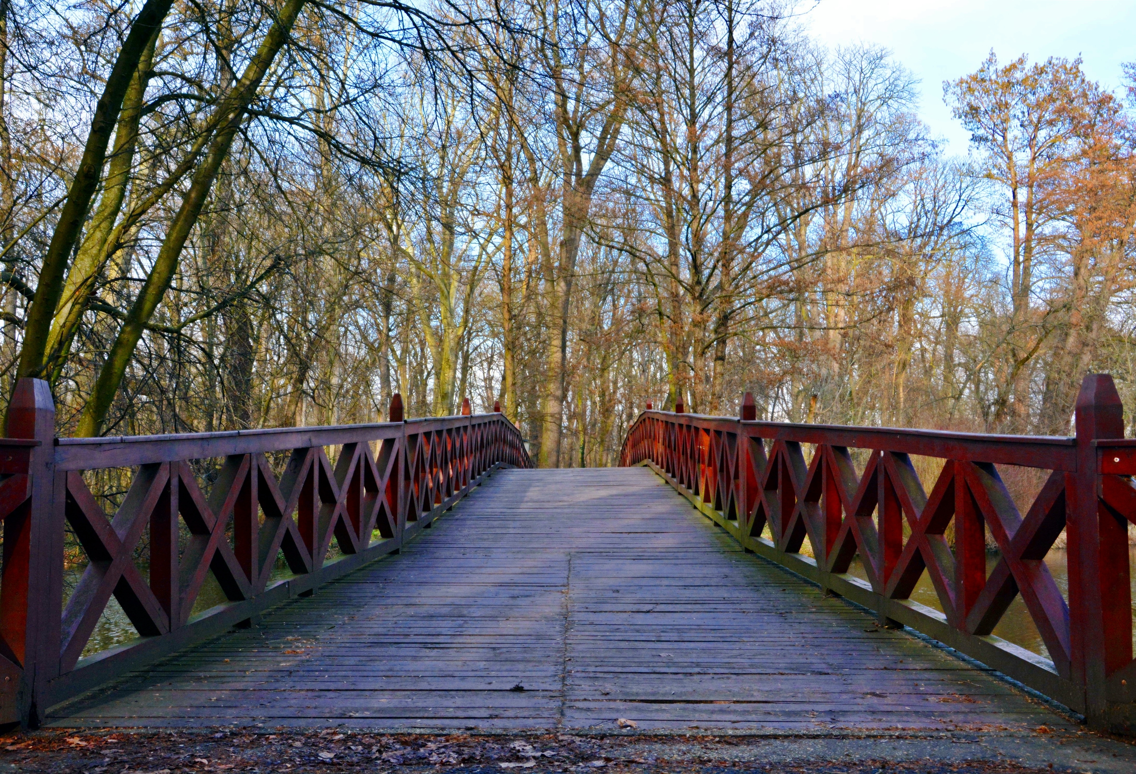 red wooden footed bridge
