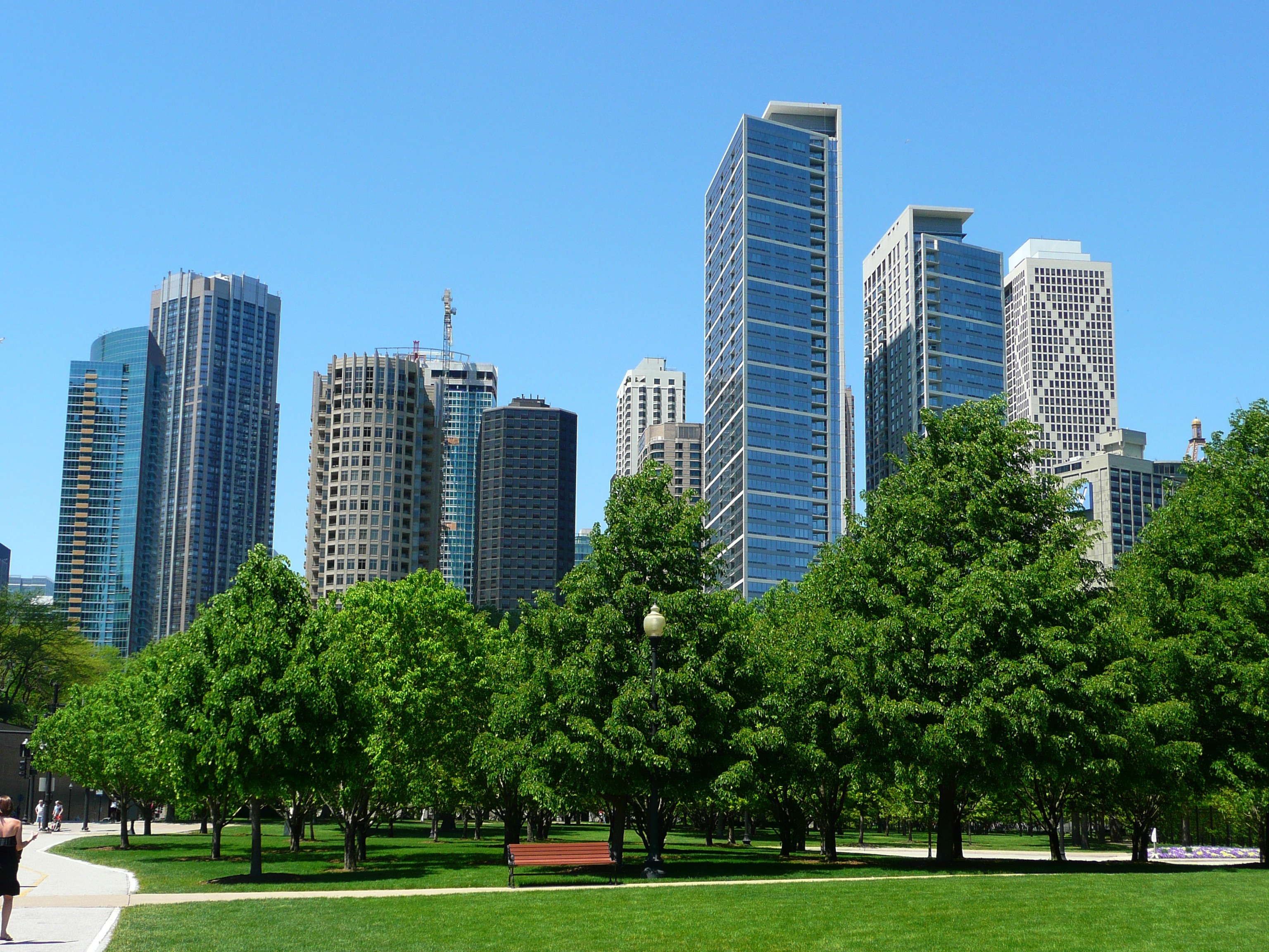 city buildings and green trees