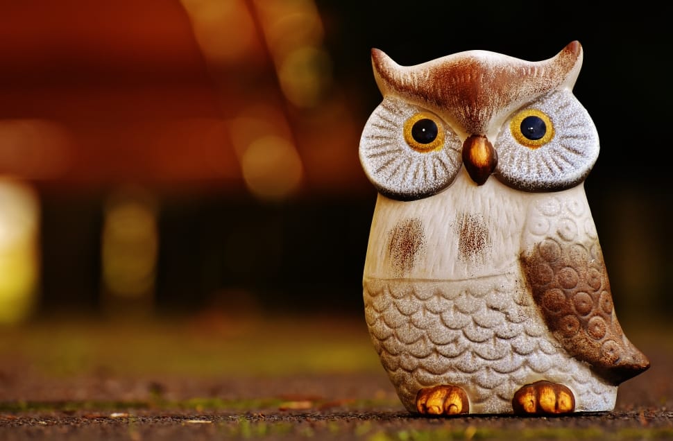 white and brown wooden owl figurine preview