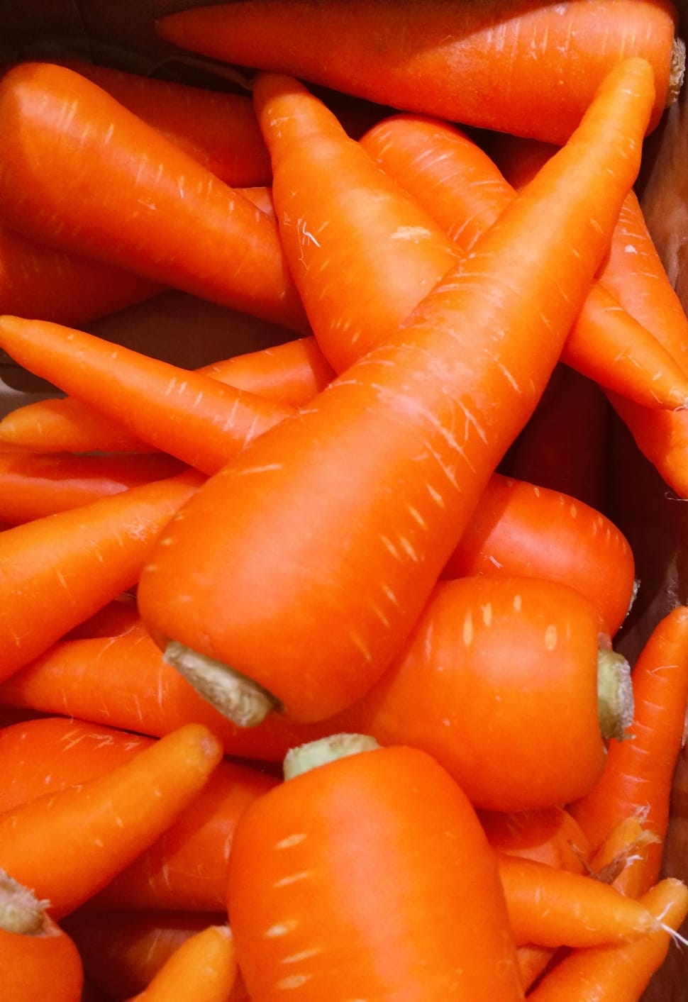 carrots vegetables preview