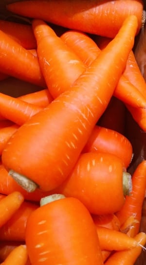 carrots vegetables thumbnail