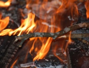 firewood thumbnail