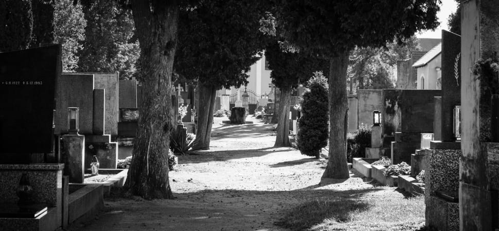 cemetery way gray scale preview