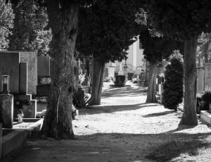 cemetery way gray scale thumbnail