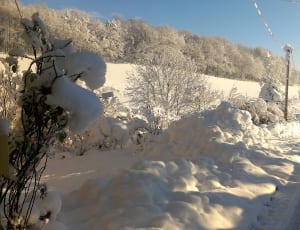 pathway on snowfield thumbnail