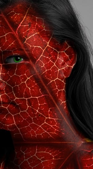 red and white leaf painted face photo thumbnail