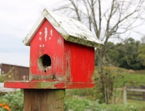 red and beige street cuckoo house thumbnail