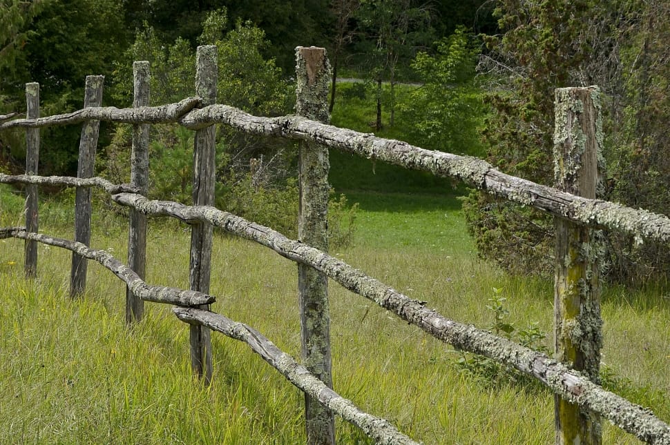 gray wooden fence preview