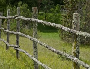 gray wooden fence thumbnail