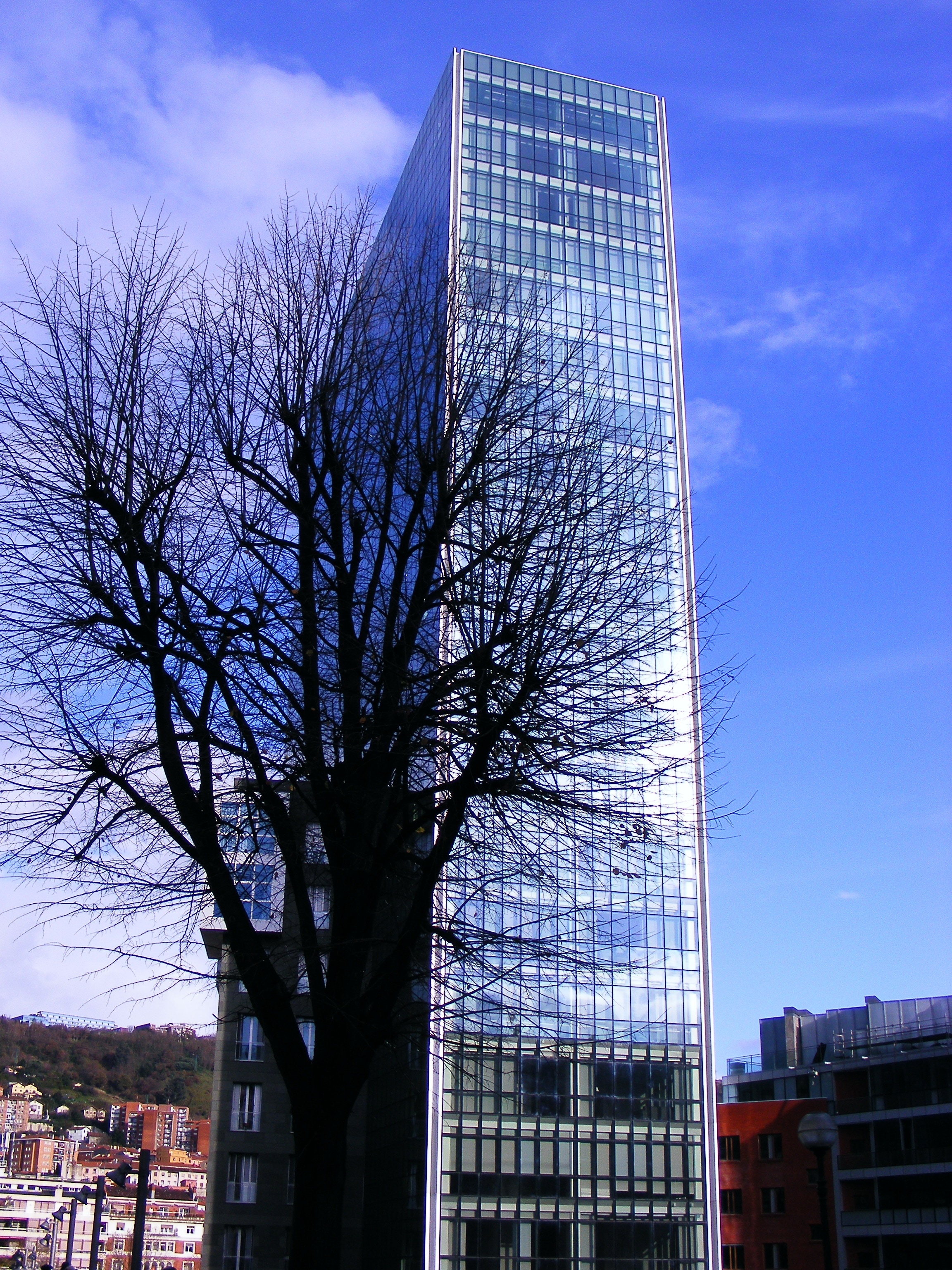 black leafless tree and high rise building