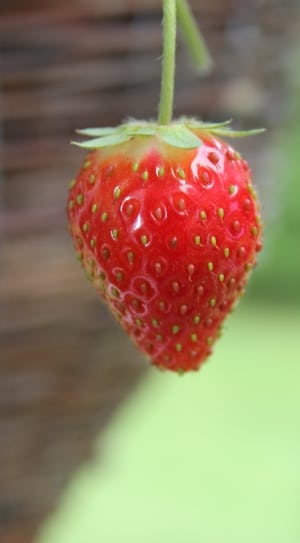 red stawberries thumbnail