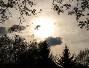 white clouds with trees during daytime thumbnail