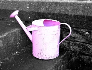 pink steel watering can thumbnail