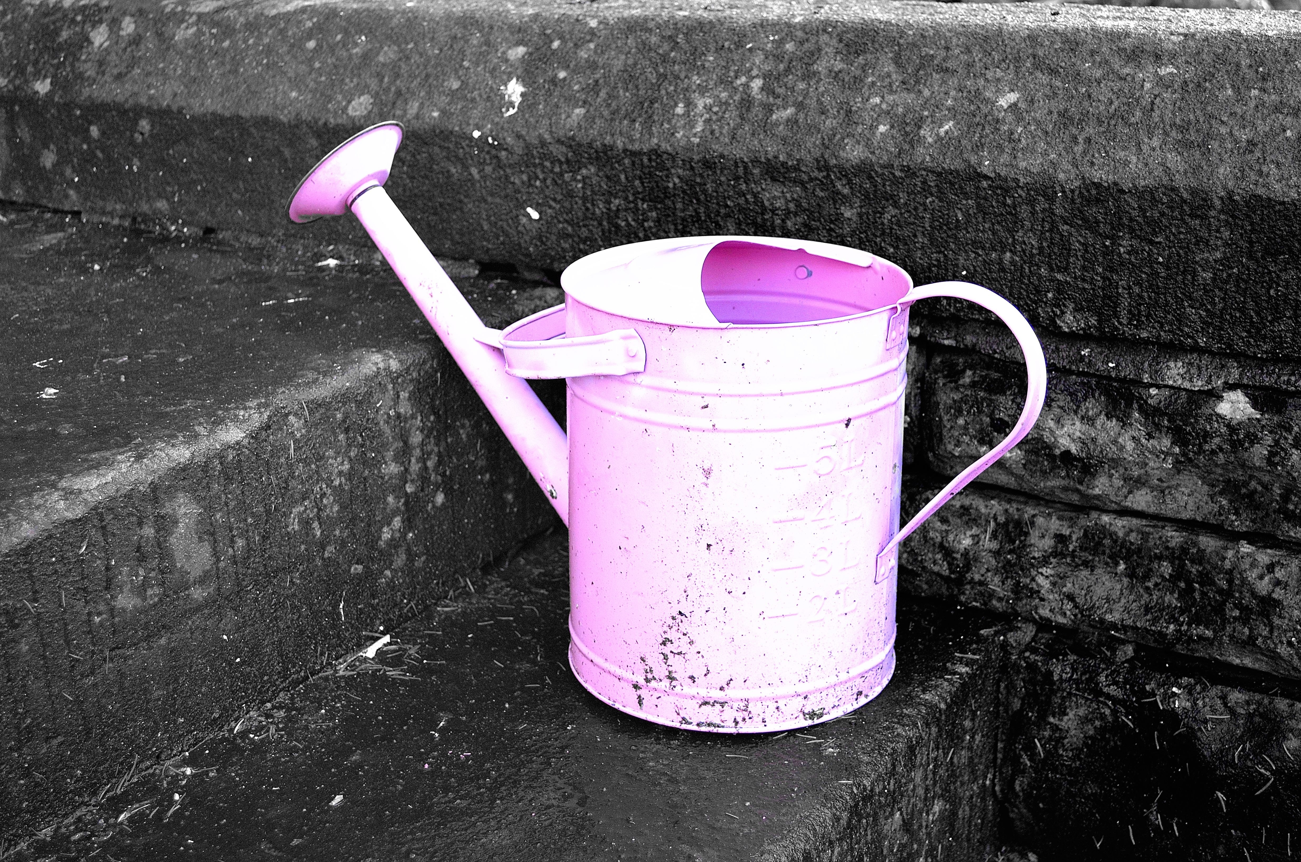 pink steel watering can