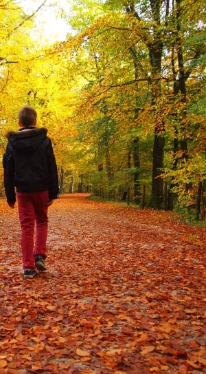 boy in black jacket and red denim jeans walking towards trees thumbnail