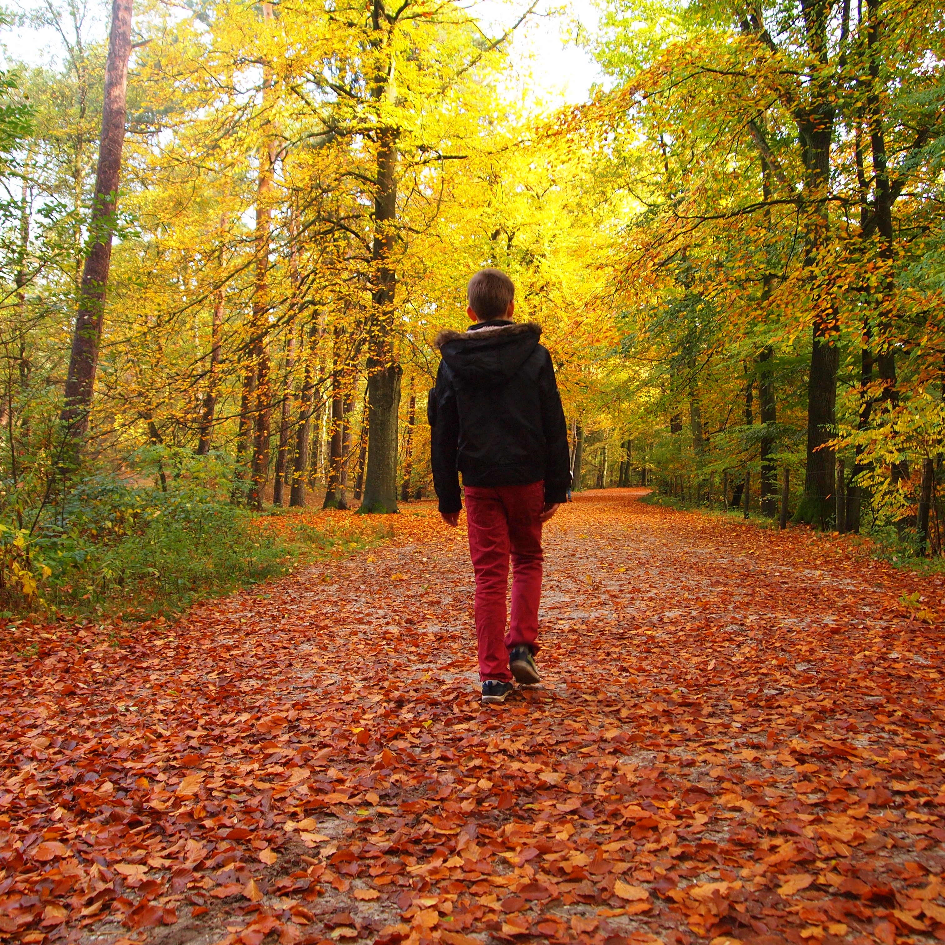 boy in black jacket and red denim jeans walking towards trees