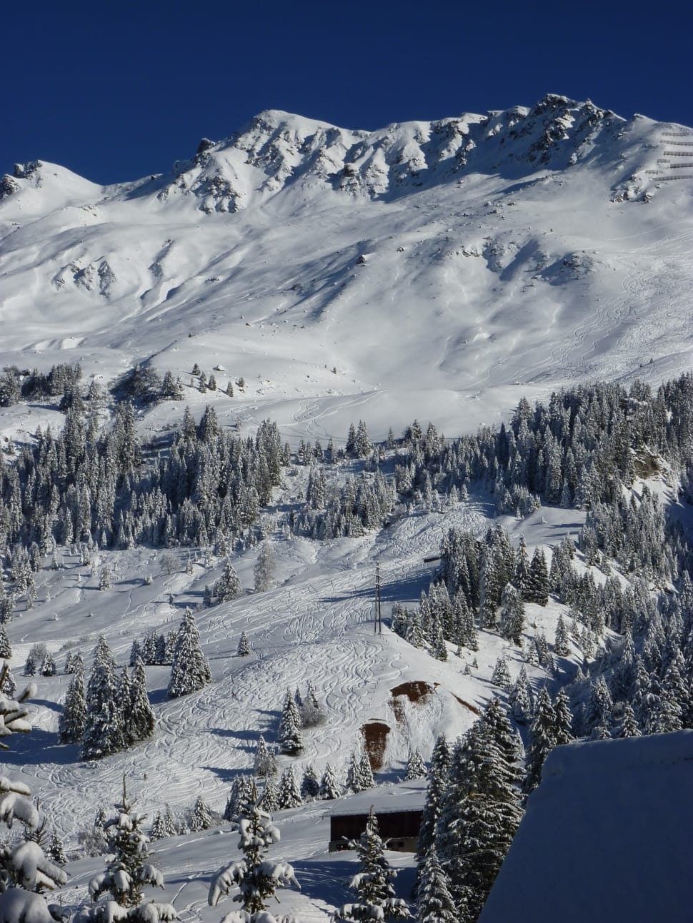 aerial view of snow covered mountain and trees preview