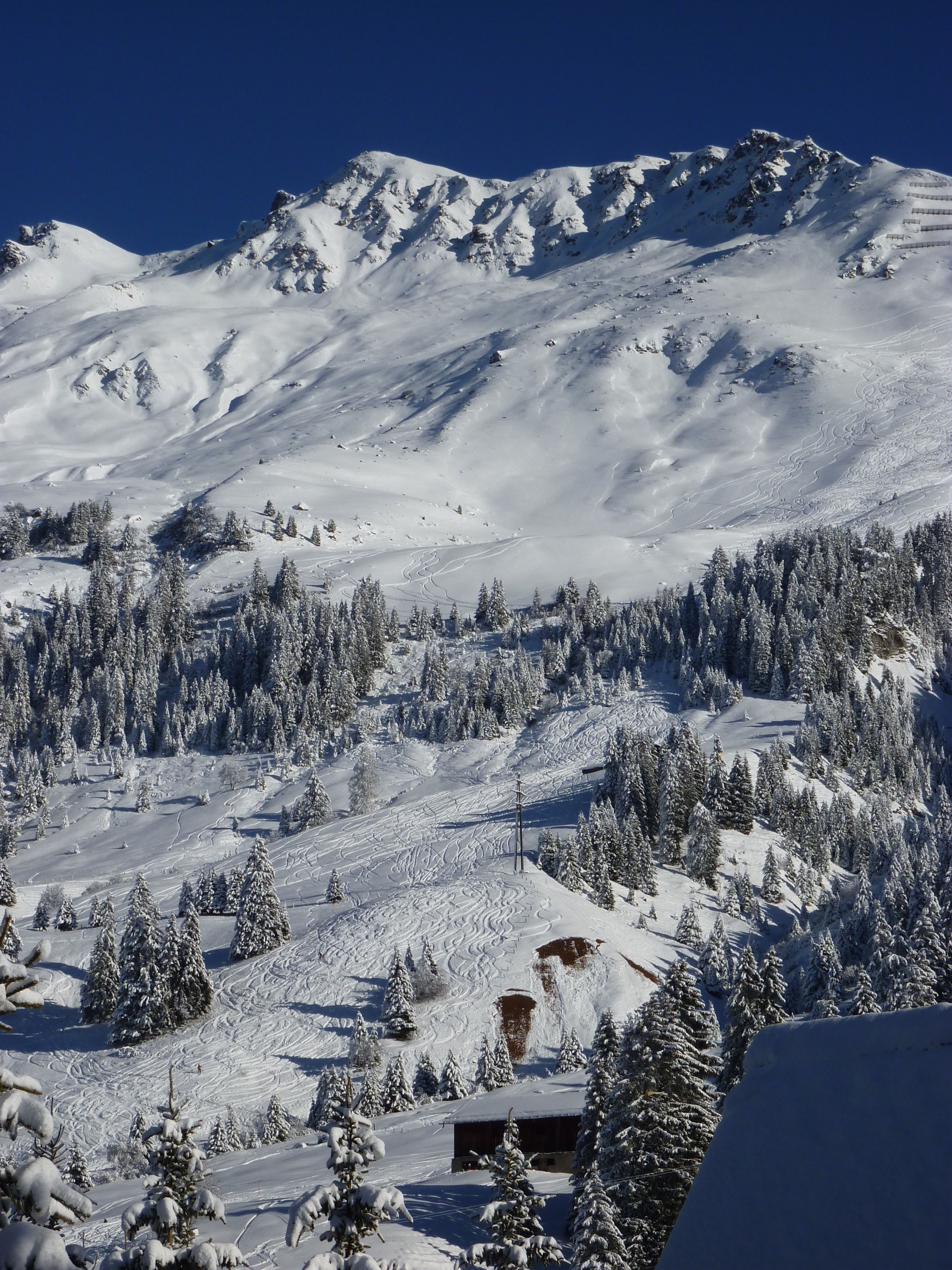 aerial view of snow covered mountain and trees