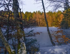 frozen lake thumbnail