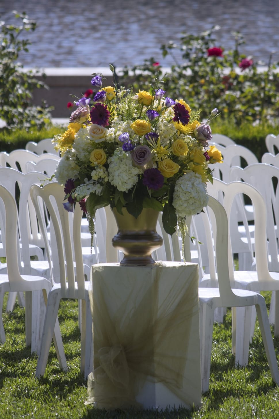 yellow purple and red rose vase preview
