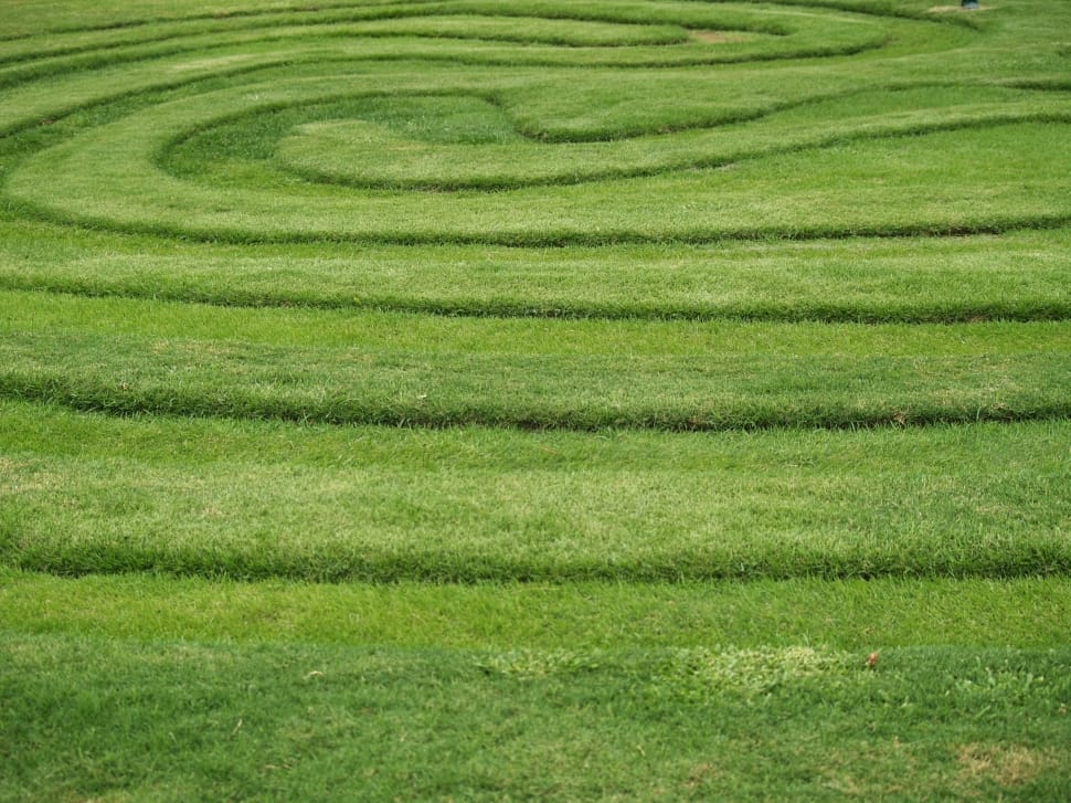 green grass maze formation preview