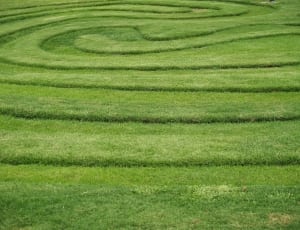 green grass maze formation thumbnail