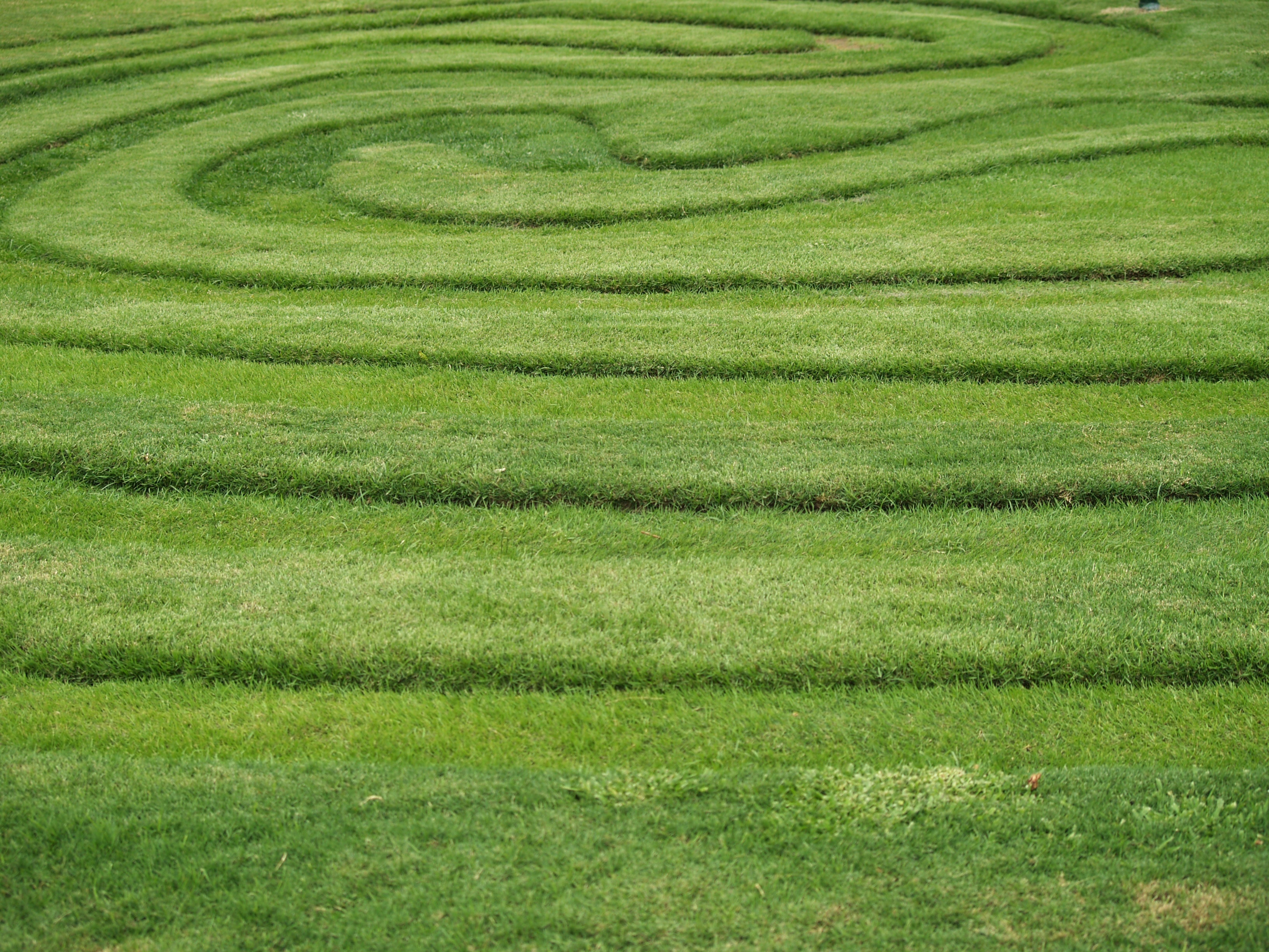green grass maze formation
