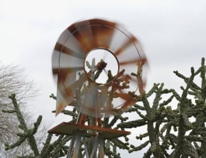 brown and white wind mill spinning thumbnail