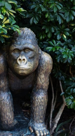 brown gorilla statue thumbnail