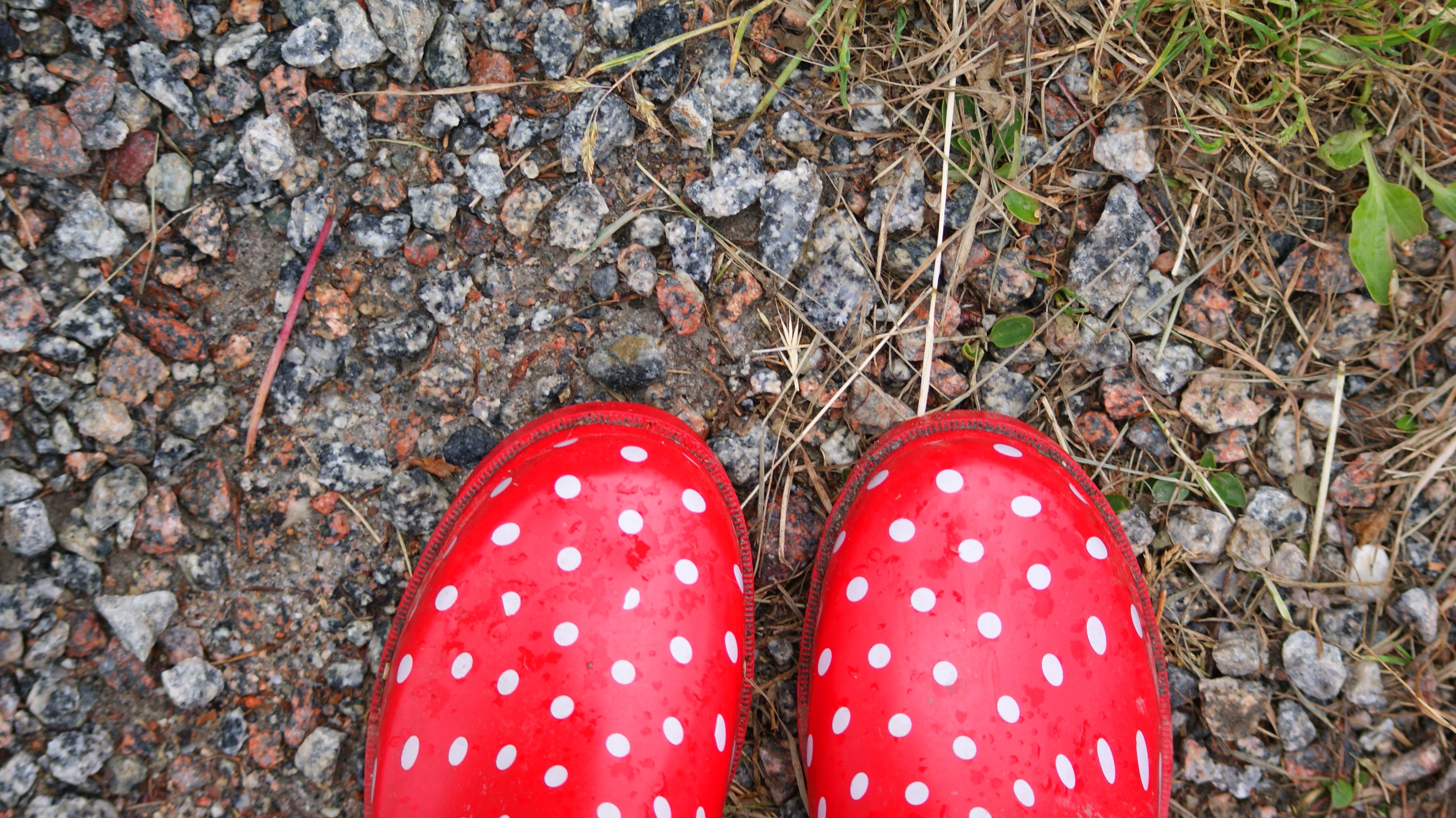 red and white polka dot rain boots