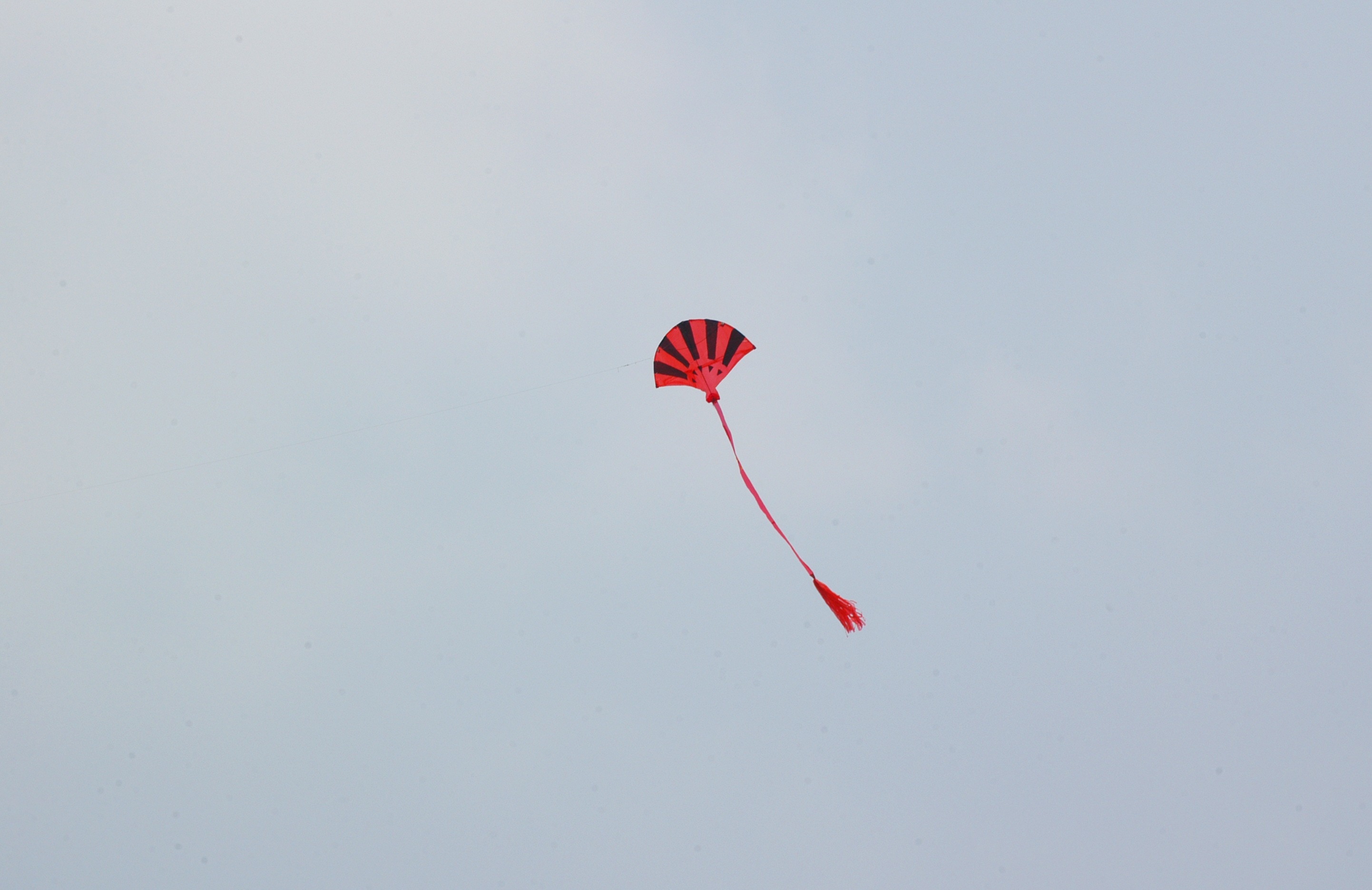red and black hand fan shape kite