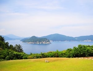 green grass field in front of body of water and mountains thumbnail
