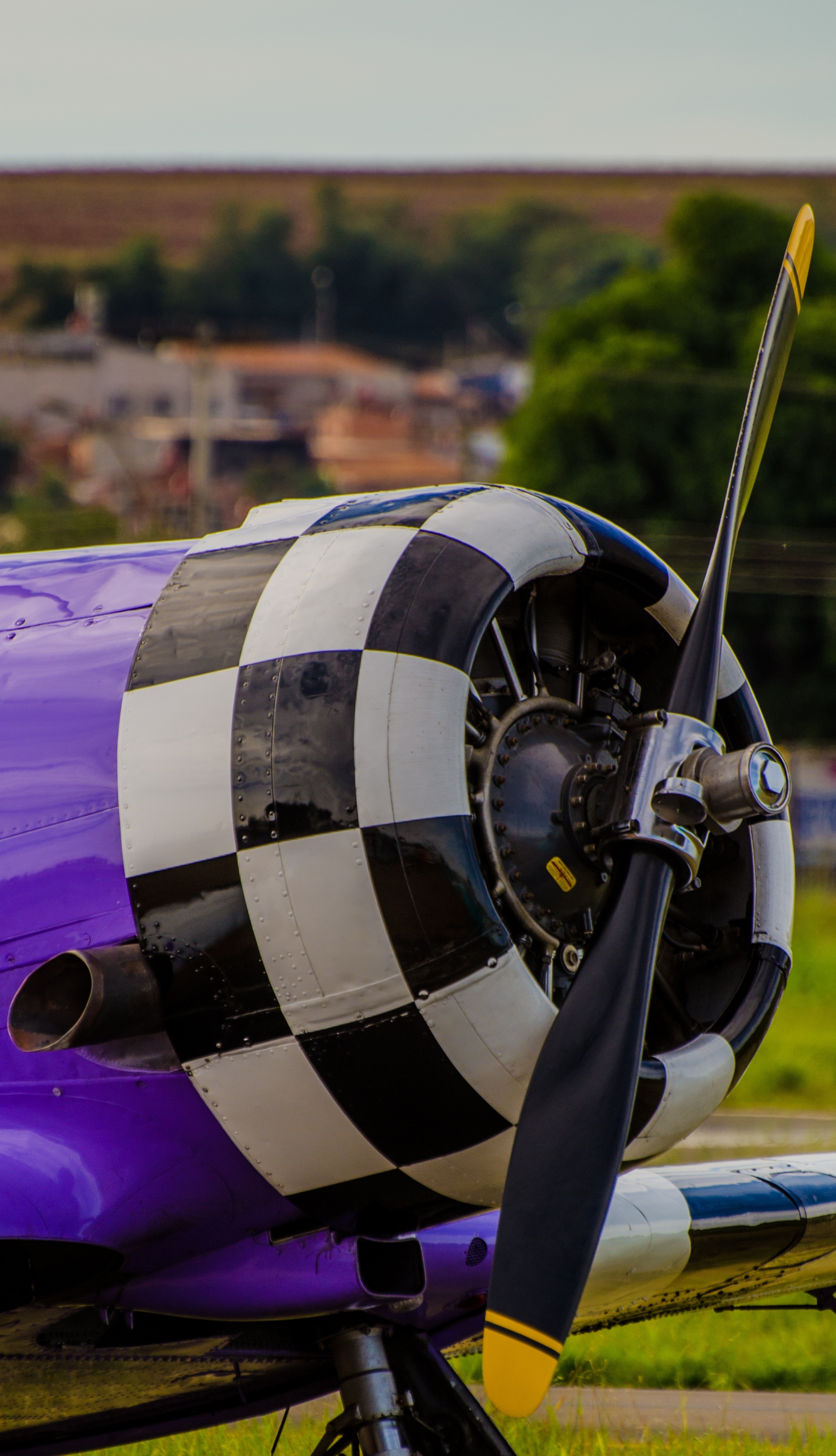 white black and purple plane propeller
