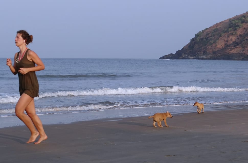 woman in black sleeveless mini dress on gray sand on seashore with two brown small dogs during nighttime preview