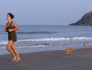 woman in black sleeveless mini dress on gray sand on seashore with two brown small dogs during nighttime thumbnail