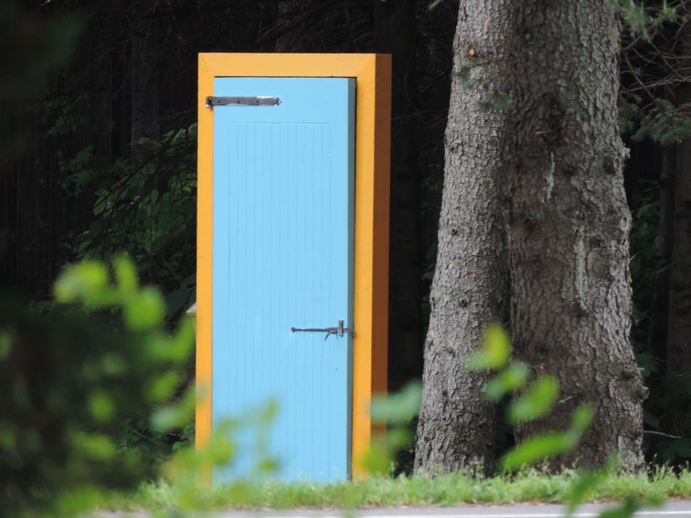 Door, Open, Strange, tree, no people preview