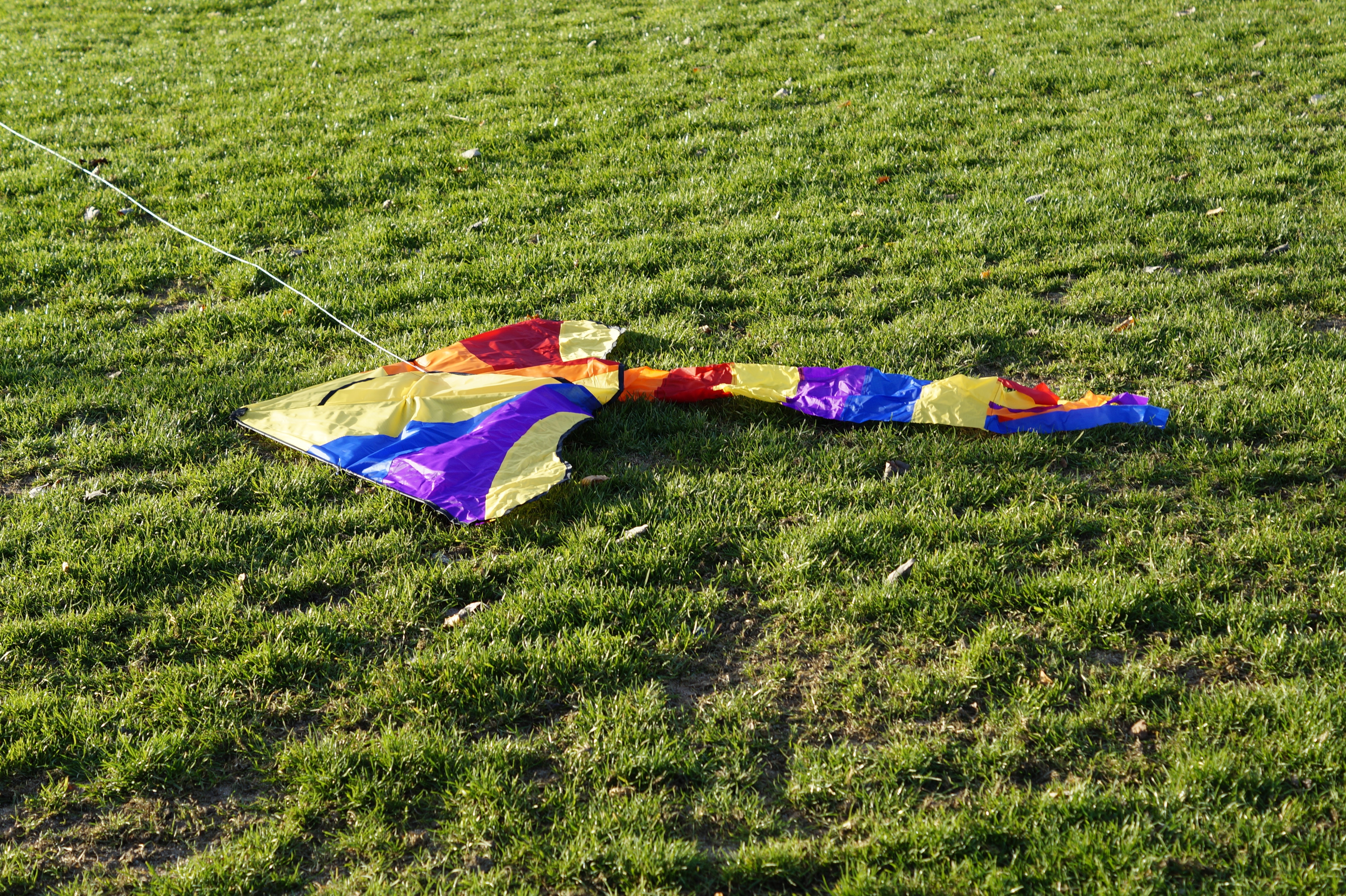 purple yellow and red kite