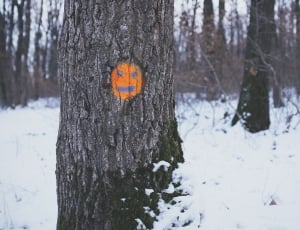 emoji painted on tree thumbnail