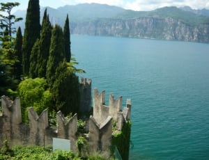 green trees and body of water thumbnail