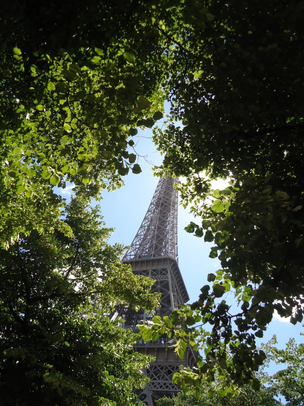 low angle photography of the EIffel Tower preview