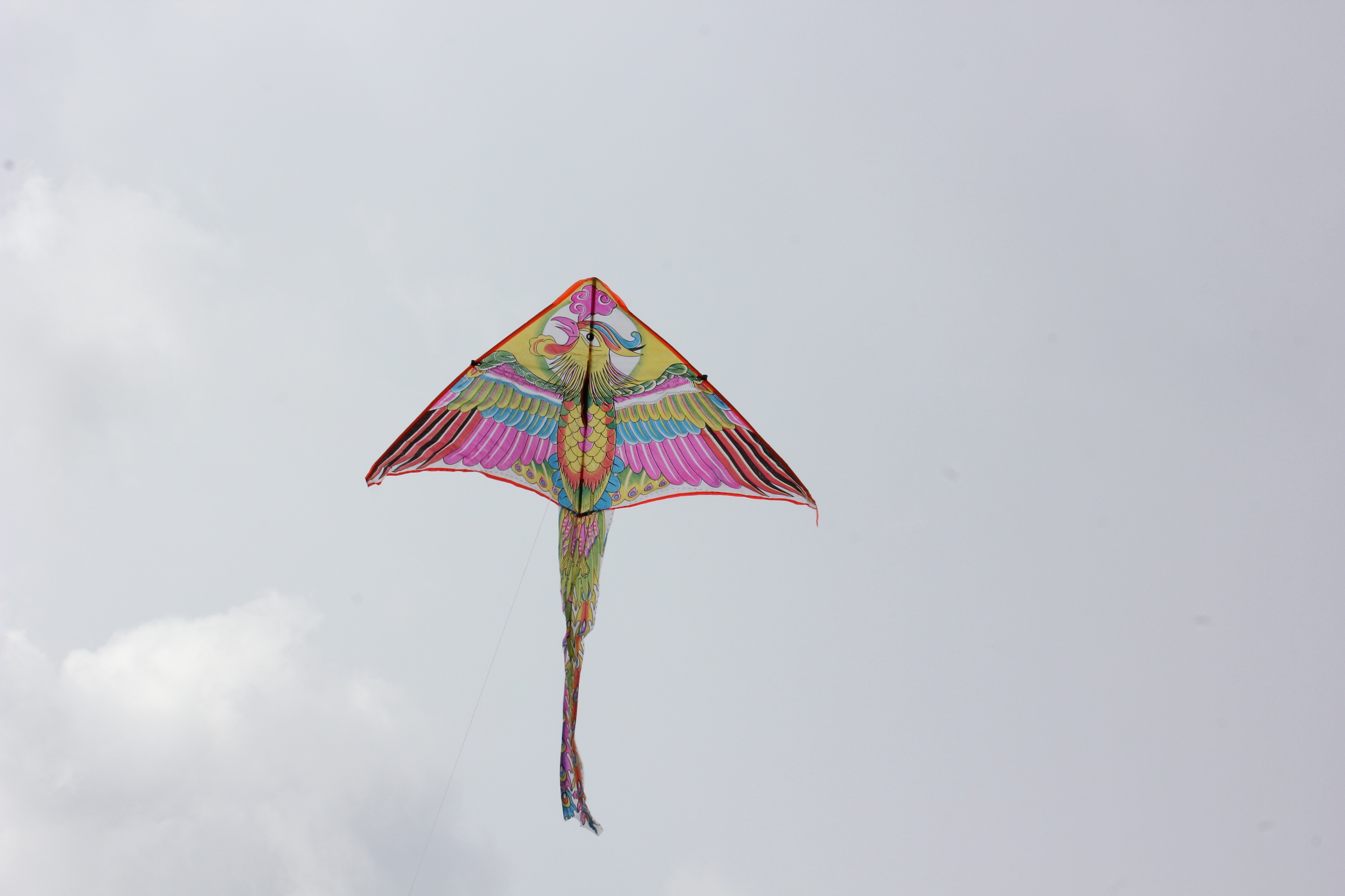 purple, yellow and blue kite