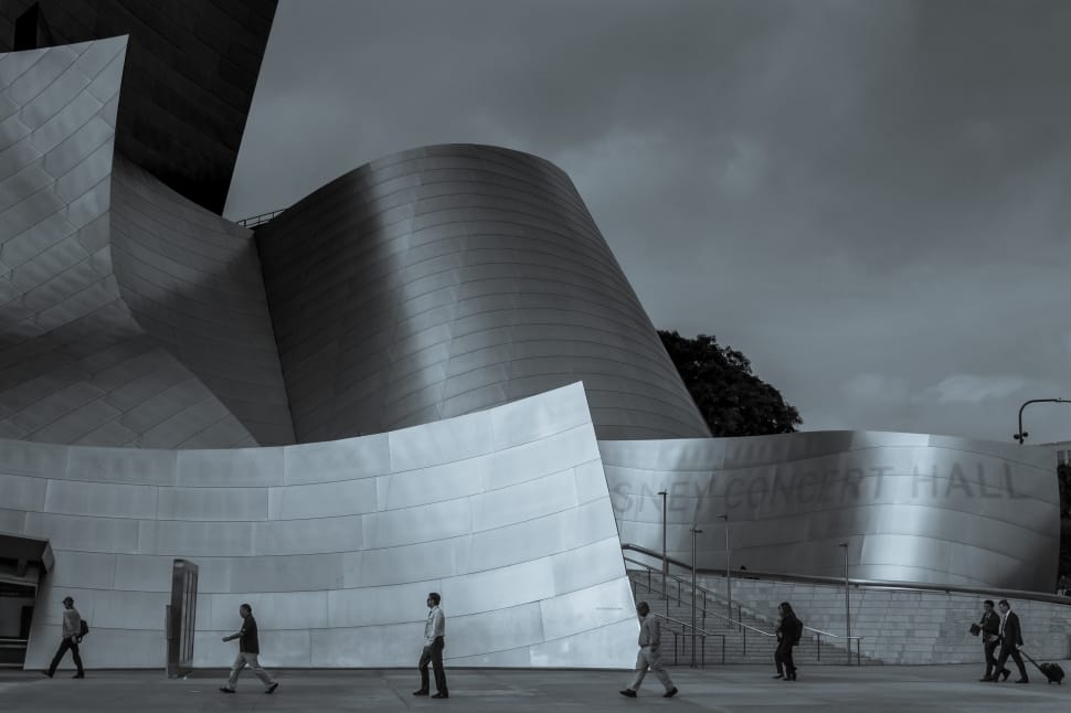 grey scale photo of disney concert hall preview