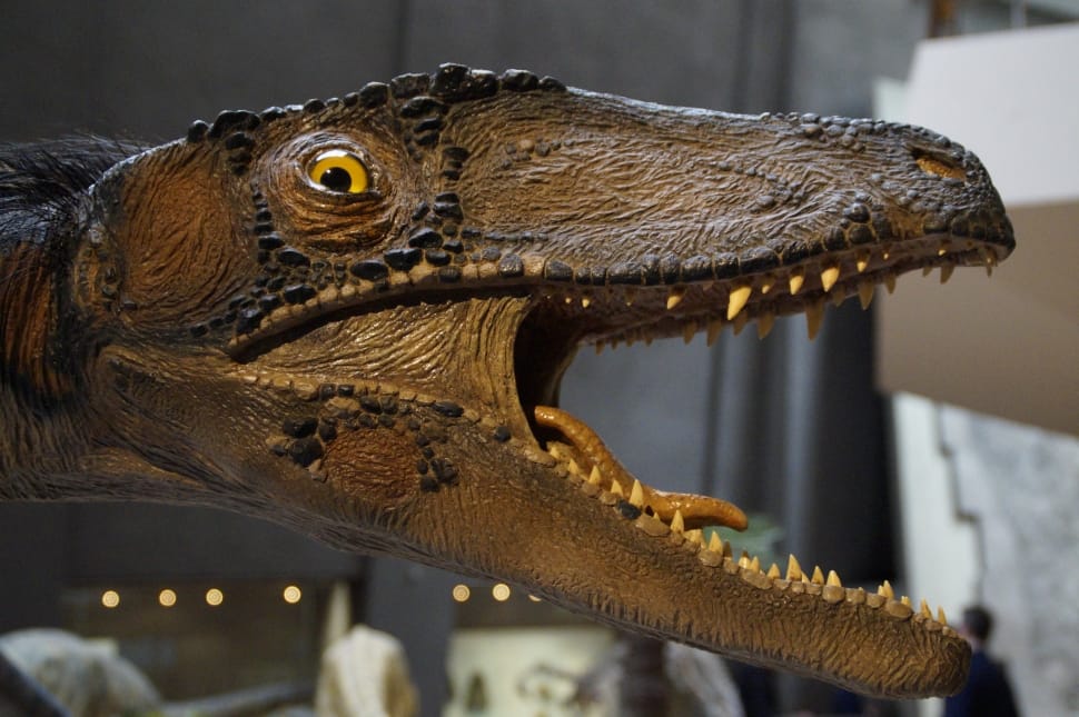 brown dinosaur head statuette preview